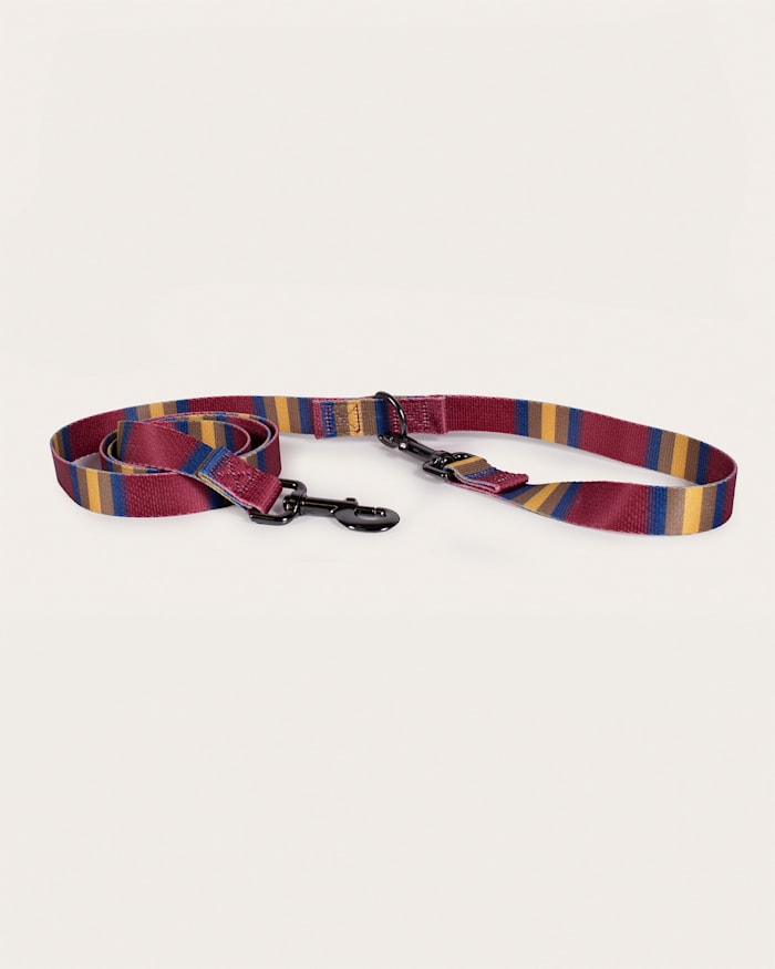 ZION NATIONAL PARK ADVENTURE LEASH